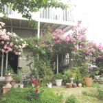 庭にはバラの木が♪(外観)
